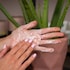 Holland & Barrett Aloe and Cucumber Face Wash image 3