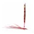 Psychic Sisters Power Incense Sticks 14 Sticks image 1