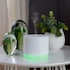 Made By Zen Novo Aroma Diffuser image 2