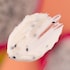Pip & Pod Dragonfruit Face Scrub 50ml image 3