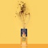 True Start Coffee Original Black Cold Brew Coffee Drink 250ml image 2