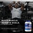 USN Blue Lab Whey Premium Protein Powder Raspberry 2kg image 4
