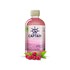 The GUTsy Captain Kombucha Water Kefir Raspberry 400ml image 2