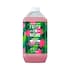 Faith in Nature Dragon Fruit Shampoo 5L image 1