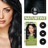 Naturtint Permanent Hair Colour 2.1 (Blue Black) image 6