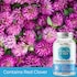 Health & Her Perimenopause Multi Nutrient Supplement 60 Capsules image 5