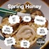 Black Bee British Spring Honey 227g image 2