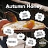 Black Bee British Autumn Honey 227g image 2