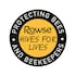 Rowse Squeezy British Honey 250g image 3