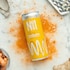 No.1 Living Ginger Sugar Free Kombucha Full Box 12 x 250ml image 3