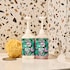Faith in Nature Dragon Fruit Conditioner 2.5L image 5
