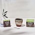 Four Sigmatic Instant Organic Coffee with Mushroom Chaga Extract 10 Sachets image 2