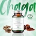 Mindful Extracts Organic Chaga Mushroom 60 Vegan Capsules image 5