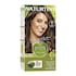 Naturtint Permanent Hair Colour 5G (Light Golden Chestnut) image 1