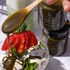 Honey & Greens Organic Honey with Matcha 200g image 5