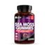 New Leaf Products Sea Moss 60 Gummies image 1