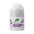 Dr Organic Lavender Deodorant 50ml image 1