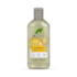 Dr Organic Vitamin E Shampoo 265ml image 1