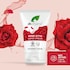 Dr Organic Rose Otto Hand Cream 125ml image 5