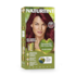 Naturtint Permanent Hair Colour 6.66 (Fireland) image 1