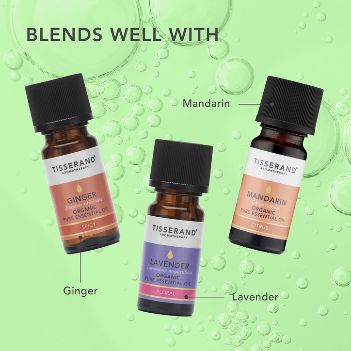 Tisserand Lime Organic Pure Essential Oil 9ml image 5