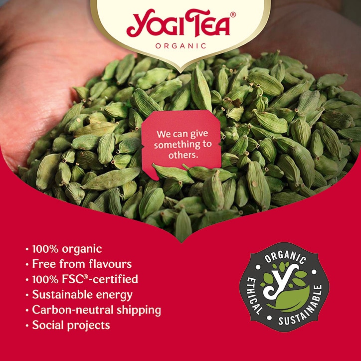 Yogi Tea Immune Support Organic 17 Tea Bags-5
