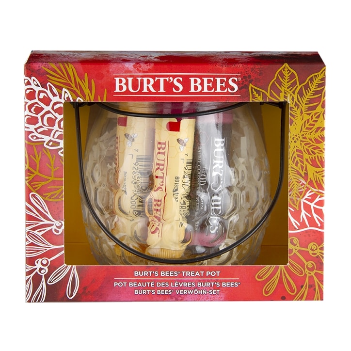 Burt's Bees Treat Pot-1