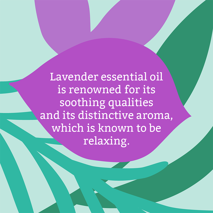 Faith In Nature Soap Bar Lavender 100g image 6