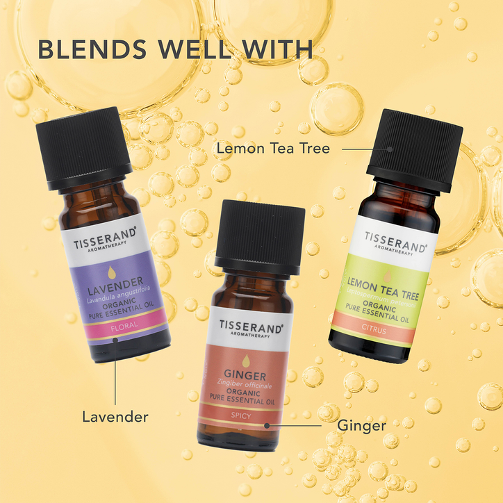 Tisserand Lemon Organic Pure Essential Oil 9ml image 5