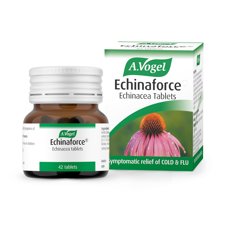 A.Vogel Echinaforce 42 Tablets - 42 Tablets