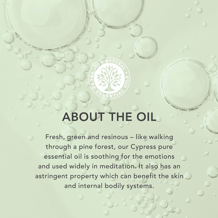 Tisserand Cypress Wild Crafted Pure Essential Oil 9ml image 3