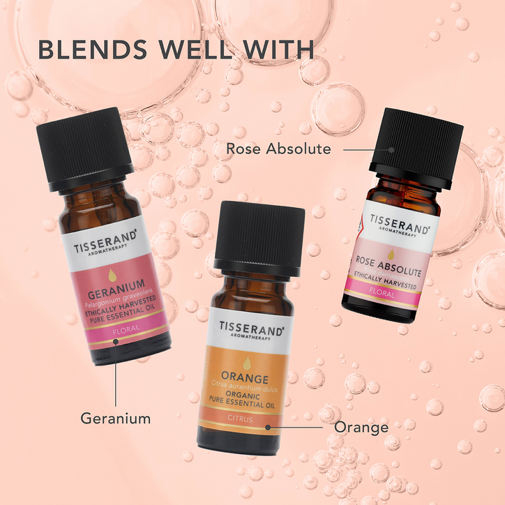 Tisserand May Chang Pure Essential Oil 9ml image 5