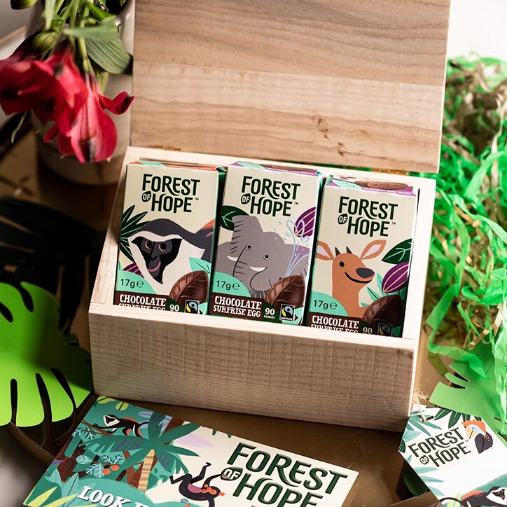 Forest of Hope Chocolate Surprise Egg 17g image 2