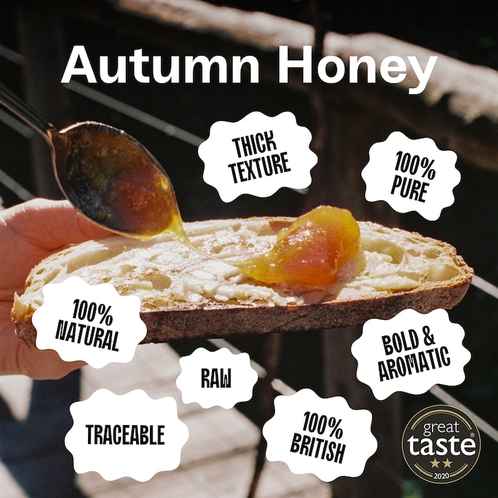 Black Bee British Autumn Honey 227g image 2