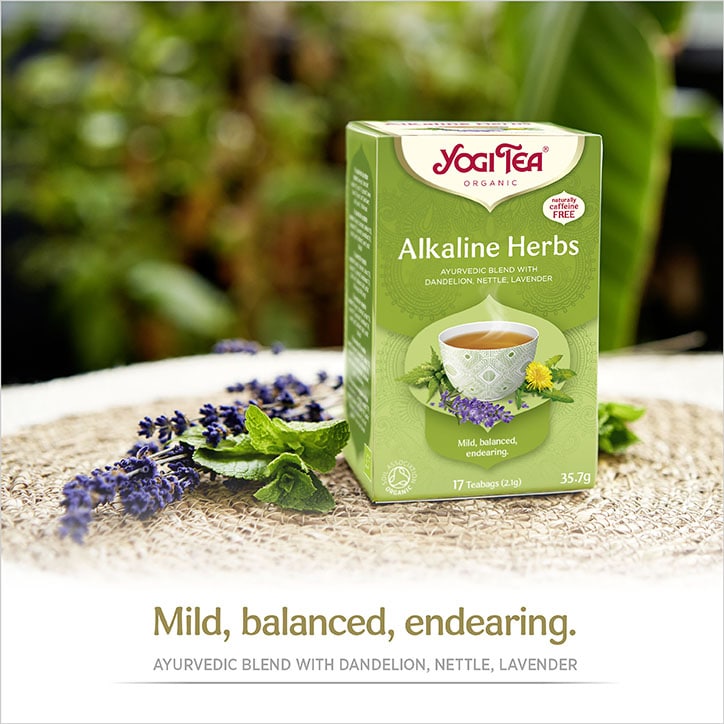 Yogi Tea® Alkaline Herbs Organic 17 Tea Bags-2