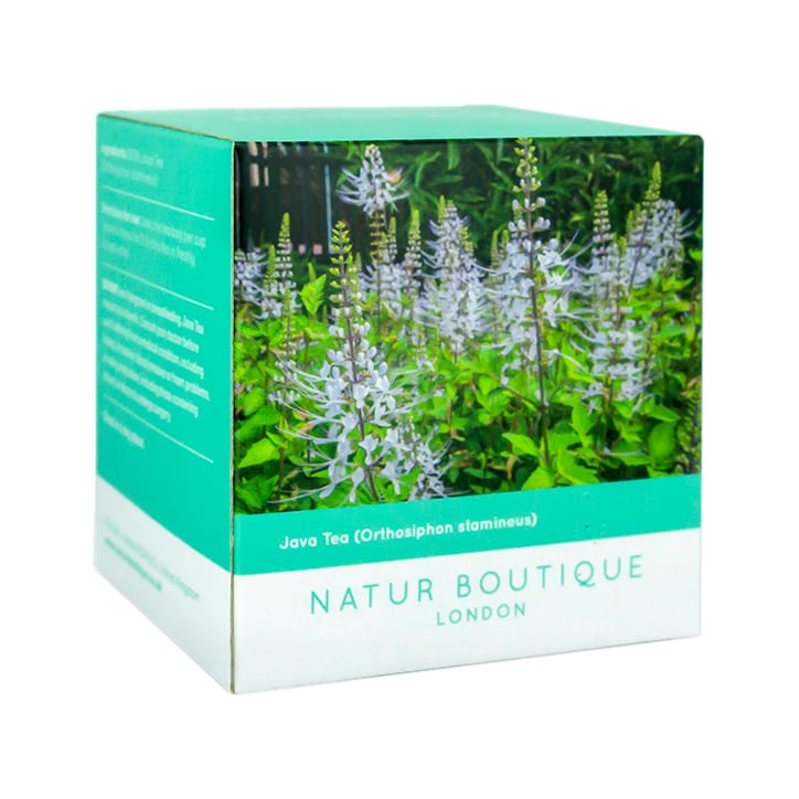 Natur Boutique Java Tea 20 Sachets image 4