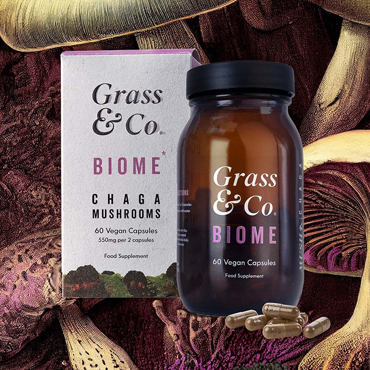 Grass & Co. BIOME Chaga Mushrooms with Curcumin + Ginger 60 Vegan Capsules