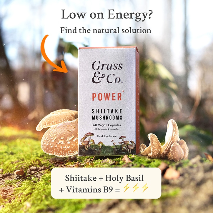 Grass & Co. POWER Shiitake Mushrooms with Holy Basil + Iron 60 Vegan Capsules