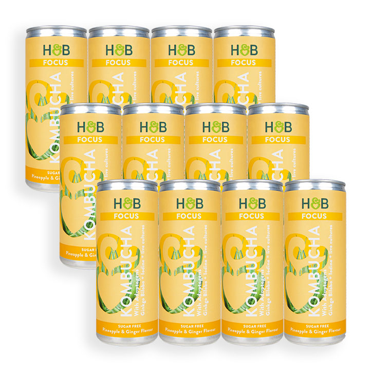 Holland & Barrett Focus Kombucha 12 x 250ml