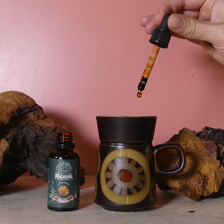 Bristol Fungarium Chaga 1:8 Triple Extract Tincture 30ml image 2