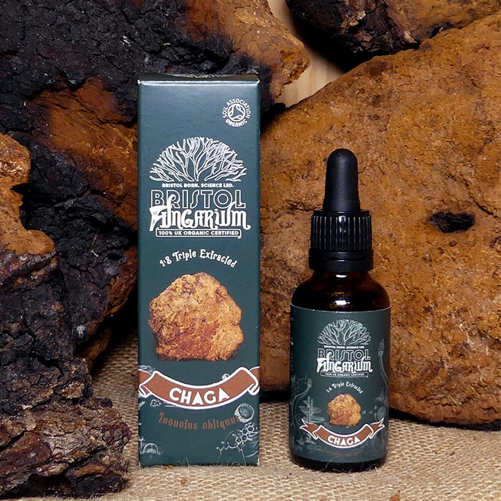 Bristol Fungarium Chaga 1:8 Triple Extract Tincture 30ml image 3