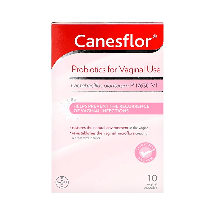 Canesflor Probiotics for Vaginal Use image 1