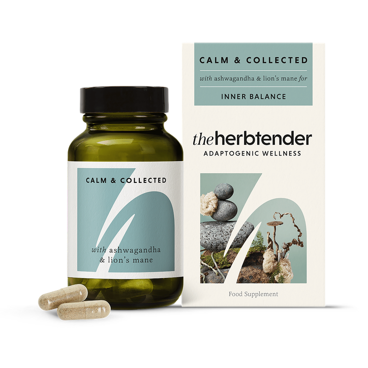 l carnitine and l theanine benefits Vital Nutrients Acetyl L-Carnitine 500mg