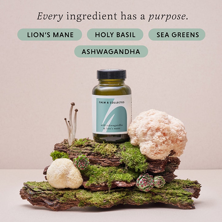 The Herbtender CALM & COLLECTED with Ashwagandha and Lion's Mane 60 Vegan Capsules image 3