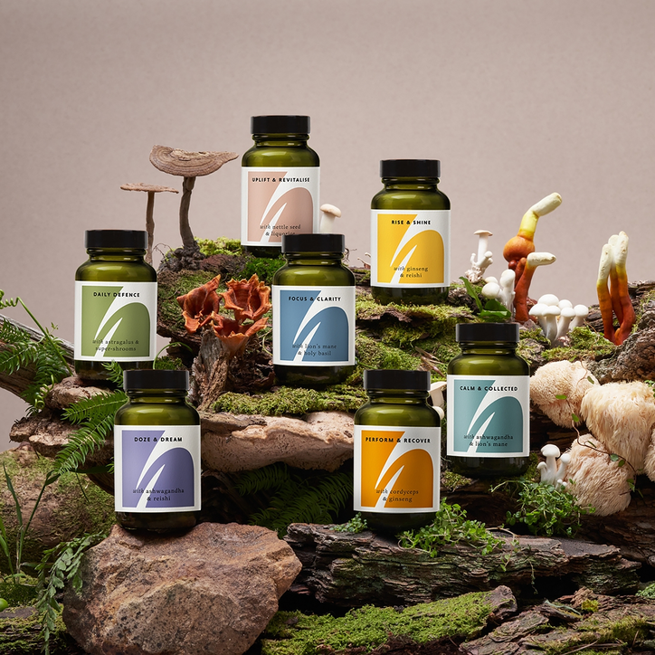 The Herbtender CALM & COLLECTED with Ashwagandha and Lion's Mane 60 Vegan Capsules The Herbtender CALM & COLLECTED with Ashwagandha and Lion's Mane 60 Vegan Capsules