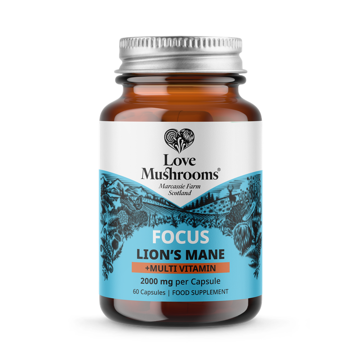 Love Mushrooms Lion’s Mane + Multi Vitamin 2000mg Capsules image 1