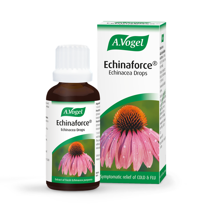 A. Vogel Echinaforce 50ml image 1