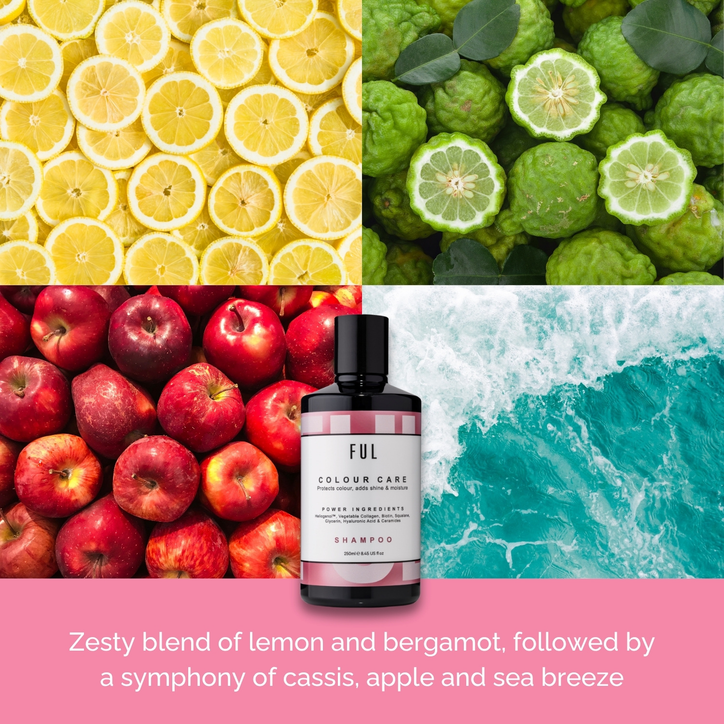 Ful Colour Care Shampoo 250ml image 6