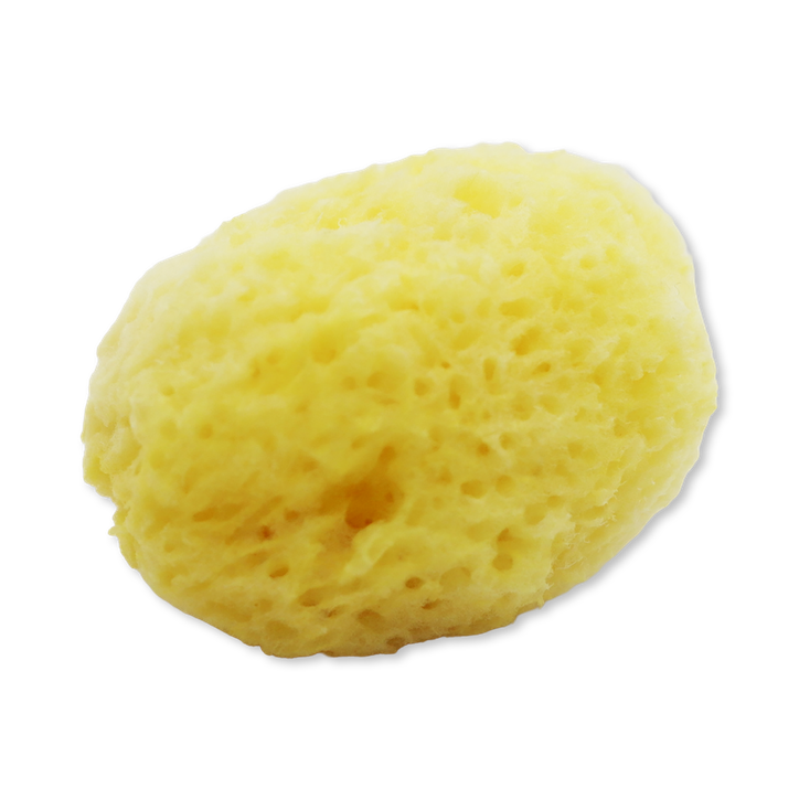 Triple Treat: 3 Pack Natural Sea Sponge Set