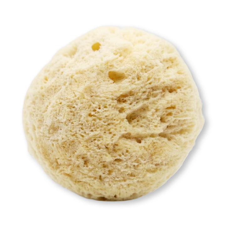 GentleSheep Wool Baby Sponge